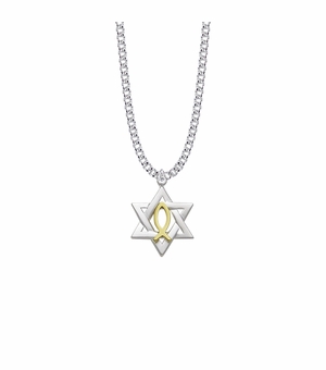 1 Inch Sterling Silver Two-Tone Star of David with Fish Symbol Necklace